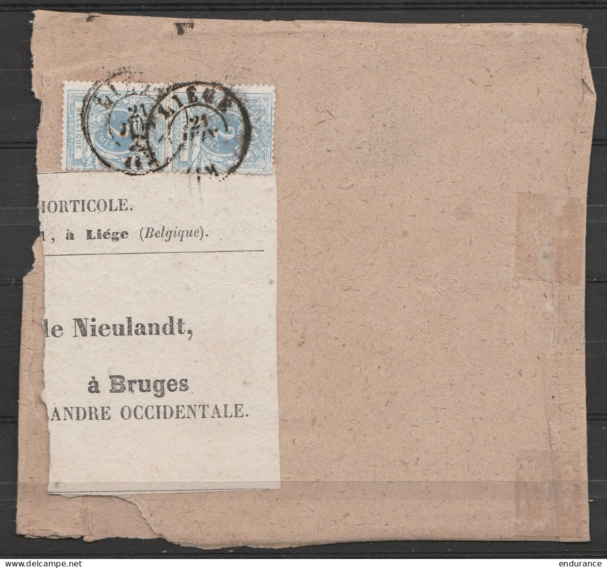Devant De Colis Affr. N°27x2 (Lion Couché 2c Bleu) Càd LIEGE /21 JUIN 187? Pour BRUGES - 1869-1888 Lion Couché