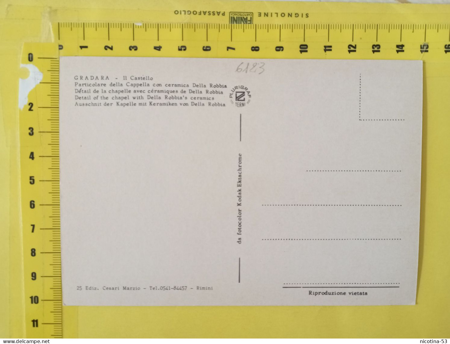 CT-06123- GRADARA - IL CASTELLO - PARTICOLARE DELLA CAPPELLA CON CERAMICA DELLA ROBBIA - Autres & Non Classés