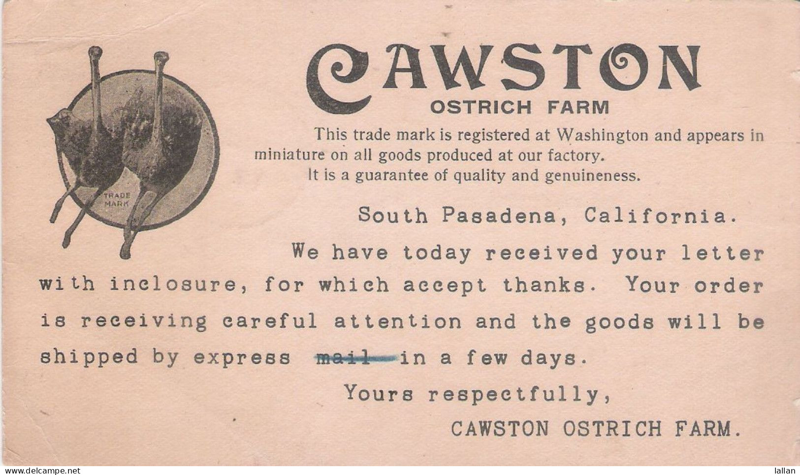 Ostriches, Cawston Ostrich Farm, 1909, USA, Genuinely Used Cover, Ostrich Farm Letter, Condition As Per Scan - Lettres & Documents