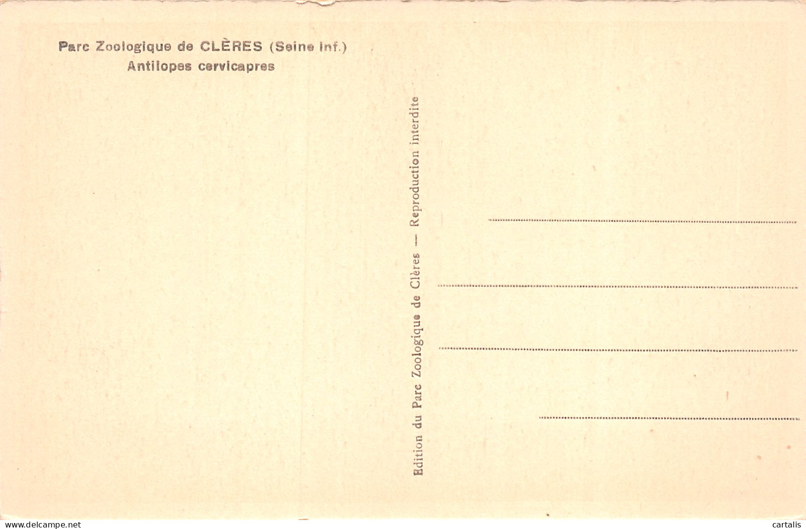 76-CLERES-N°3889-F/0341 - Clères
