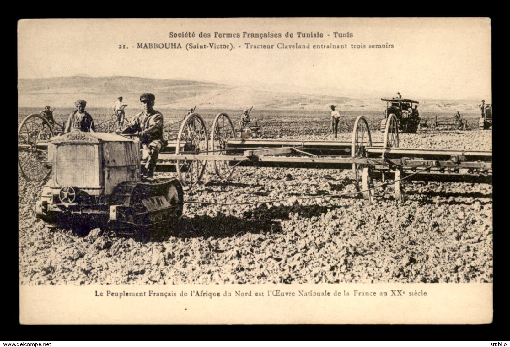 AGRICULTURE - TRACTEUR CLAVELAND ENTRAINANT TROIS SEMOIRS - SOCIETE DES FERMES FRANCAISES DE TUNISIE - Tractors