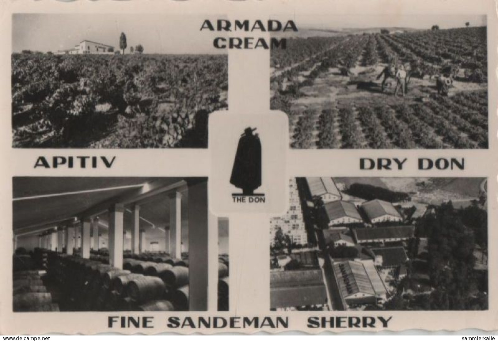 72369 - Spanien - Jerez De La Frontera - Sandeman Vineyards And Bodegas - Ca. 1960 - Cádiz