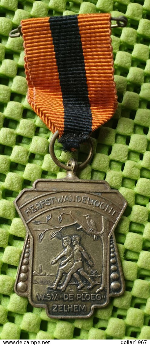 Medaile :  Herfstwandeltocht W.S.V. " De Ploeg " Zelhem . -  Original Foto  !!  Medallion  Dutch - Other & Unclassified