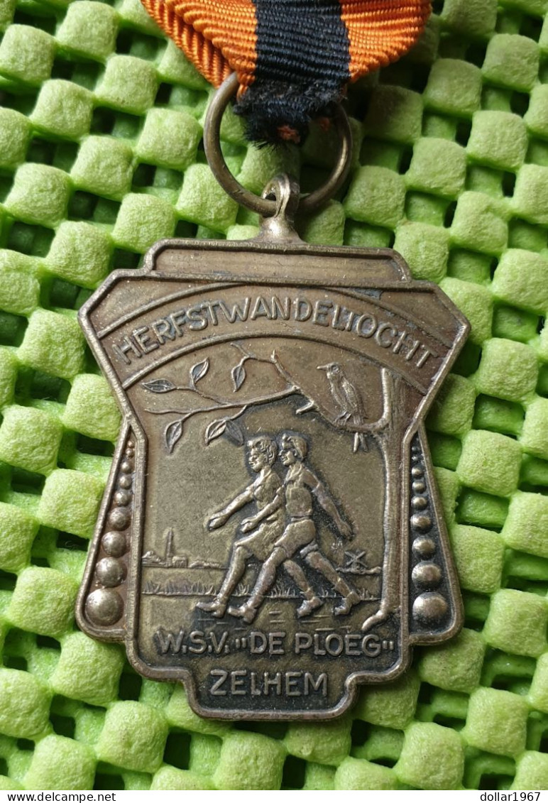 Medaile :  Herfstwandeltocht W.S.V. " De Ploeg " Zelhem . -  Original Foto  !!  Medallion  Dutch - Sonstige & Ohne Zuordnung