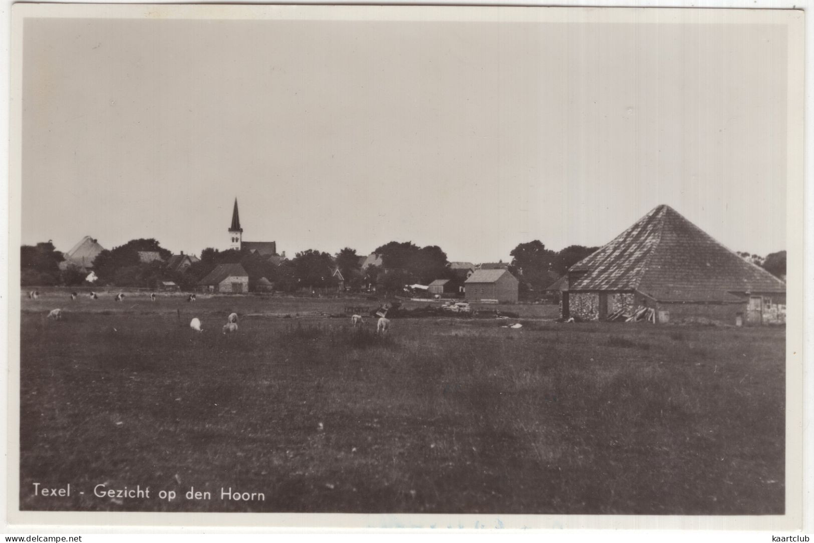 Texel - Gezicht Op Den Hoorn - (Nederland/Holland) - 1951 - Texel