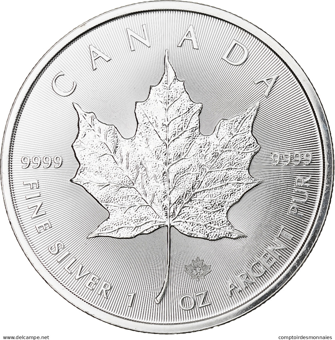 Canada, Elizabeth II, 5 Dollars, 1 Oz, Maple Leaf, 2021, Winnipeg, BE, Argent - Canada