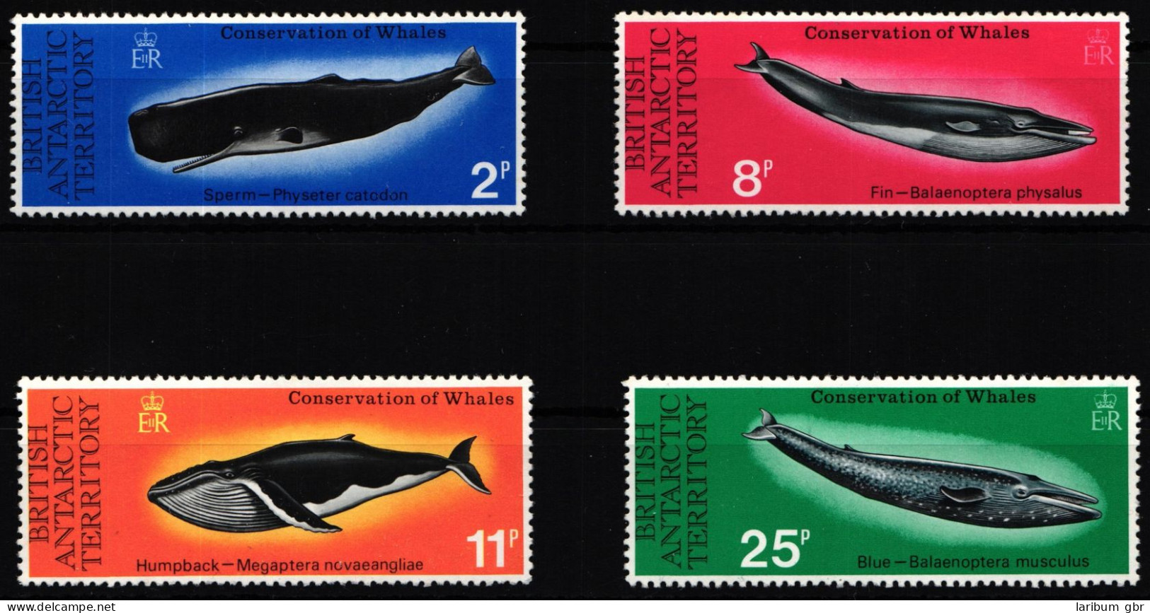 Britische Gebiete In Der Antarktis 64-67 Postfrisch Fische #HC574 - Autres & Non Classés