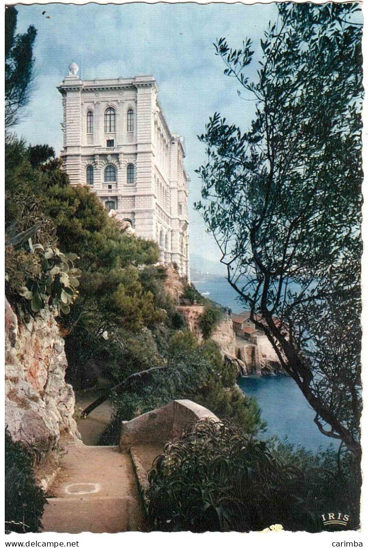 CARTOLINA PER ITALIA CON ANNULLO TARGHETTA MUSEO OCEANOGRAFICO - Oceanografisch Museum