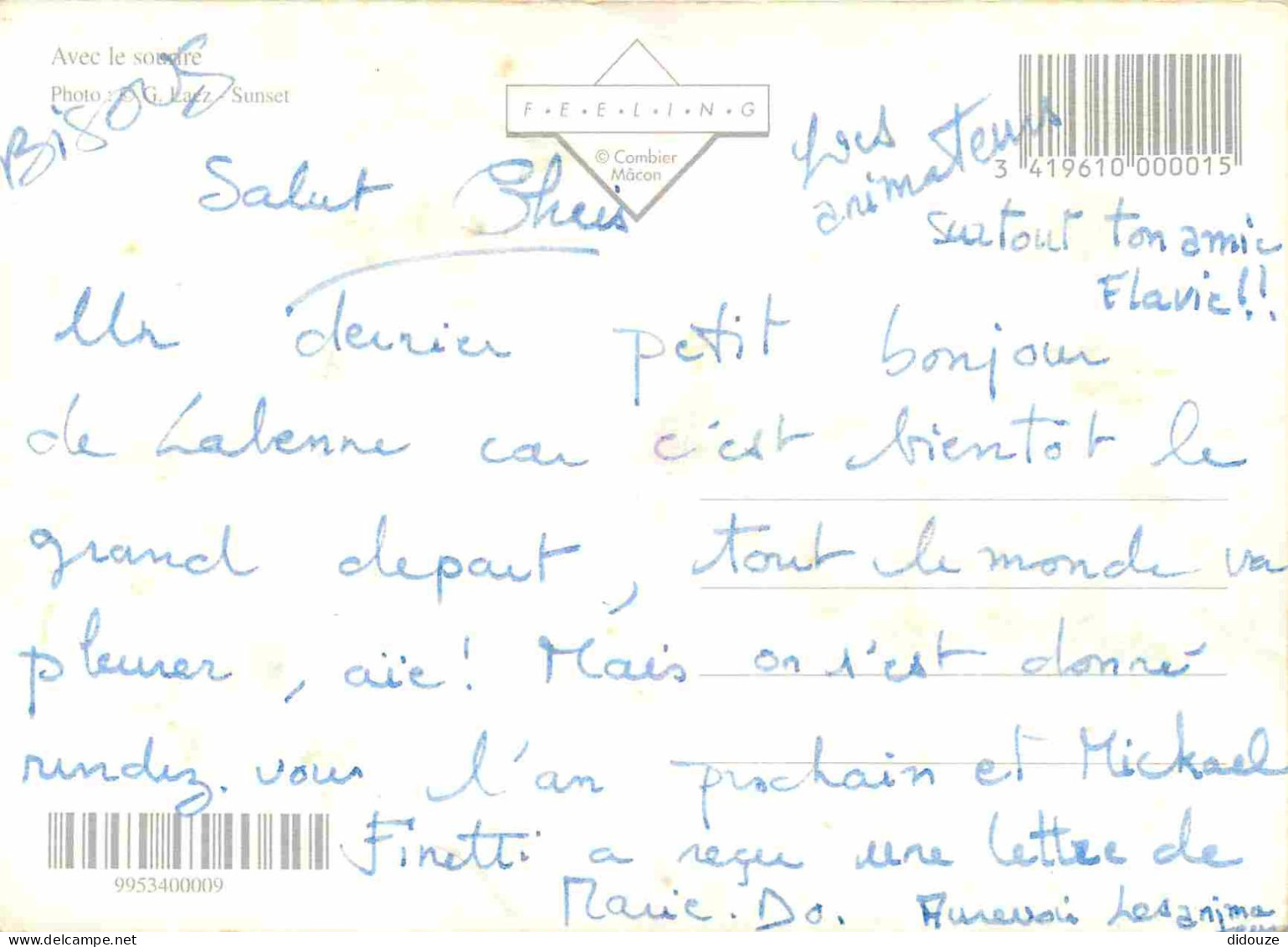 Animaux - Dauphin - Dolphin - Carte à Message - CPM - Voir Scans Recto-Verso - Dauphins