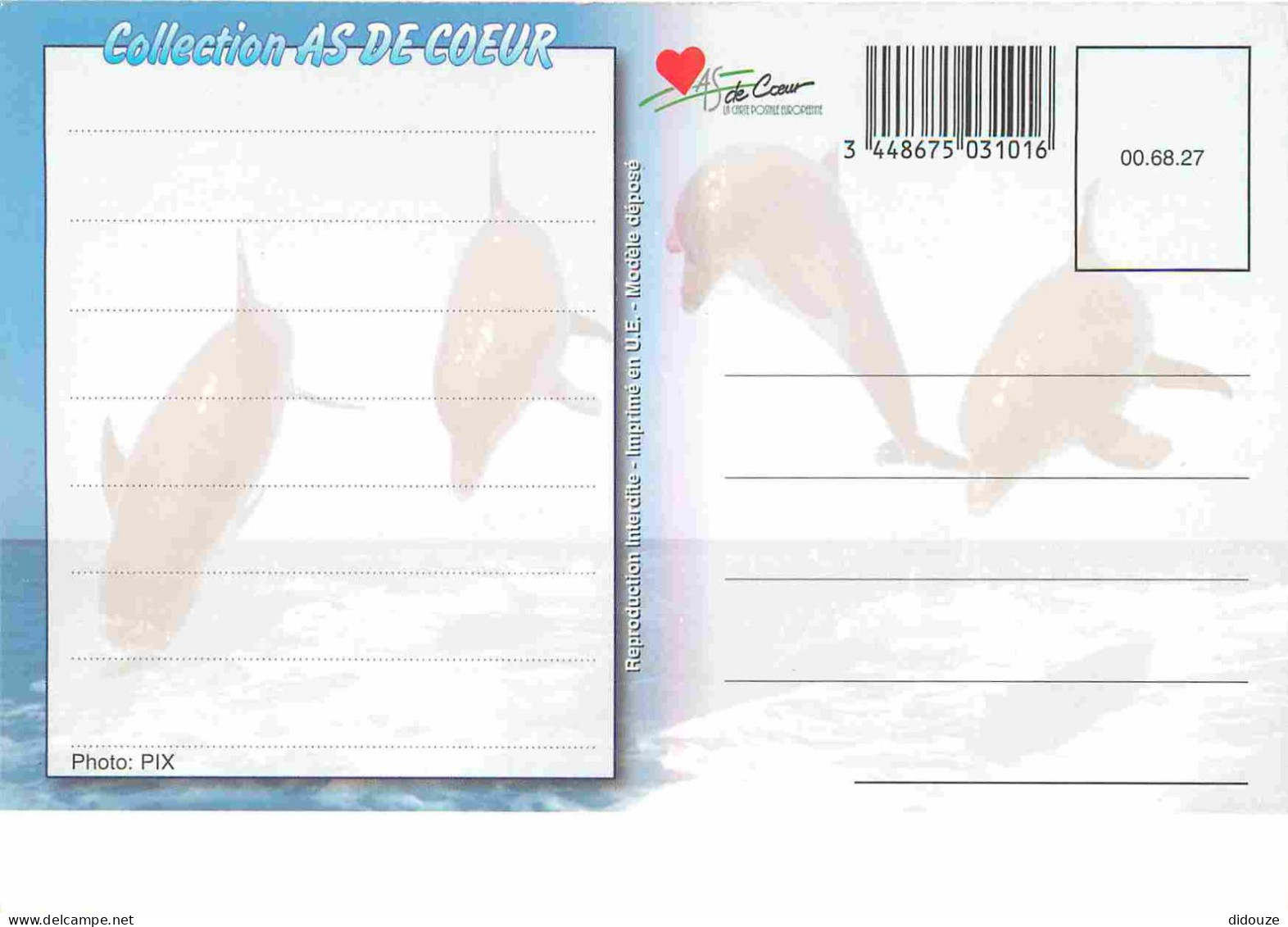 Animaux - Dauphin - Dolphin - Carte à Message - CPM - Carte Neuve - Voir Scans Recto-Verso - Dolphins