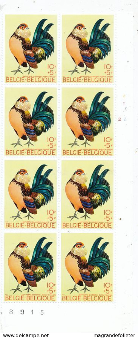 TIMBRE  ZEGEL STAMP BELGIQUE PLANCHE  8 X LE No 1513 OISEAUX BIRDS LE BARBU D' ANVERS  XX - Sin Clasificación