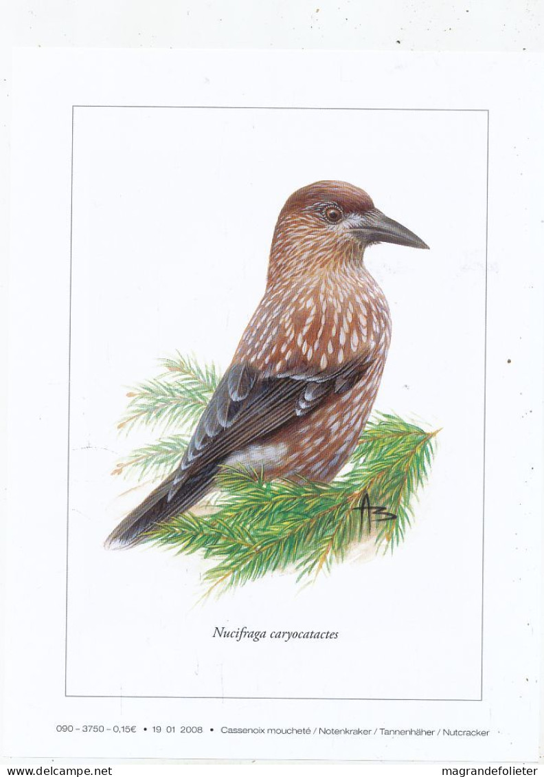 TIMBRE  ZEGEL STAMP BELGIQUE LES OISEAUX D' ANDRE BUZIN  BELLE GRAVURE " CASSENOIX MOUCHETE  " - Collezioni