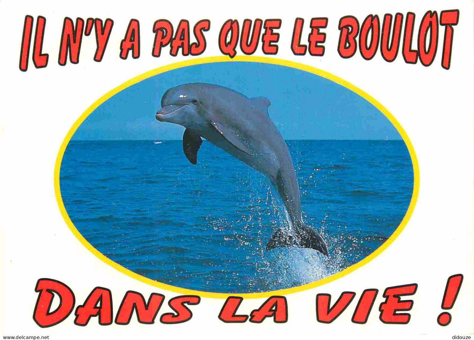 Animaux - Dauphin - Dolphin - Carte à Message - CPM - Voir Scans Recto-Verso - Dauphins