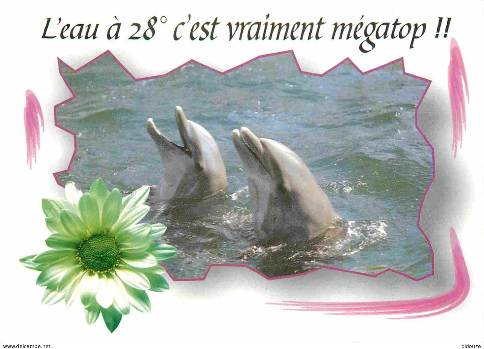 Animaux - Dauphin - Dolphin - Carte à Message - CPM - Carte Neuve - Voir Scans Recto-Verso - Dolfijnen