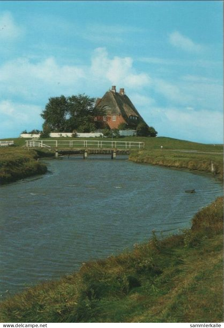 48543 - Hooge, Hallig - Kirchwarft Mit Priel - Ca. 1985 - Halligen