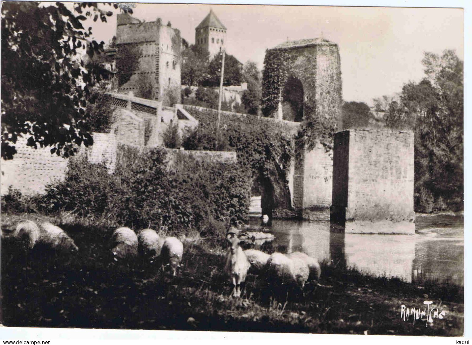 PYRENEES-ATLANTIQUES - SAUVETERRE-DU-BEARN - Ruines Du Château De Montréal - Restas D'un Pont - Bergevin N°15055 - Sauveterre De Bearn