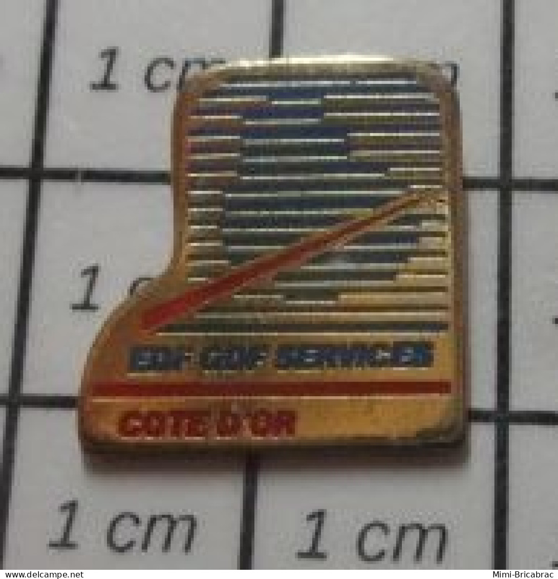 2217 Pin's Pins / Beau Et Rare / EDF GDF / SERVICES COTE D'OR - EDF GDF