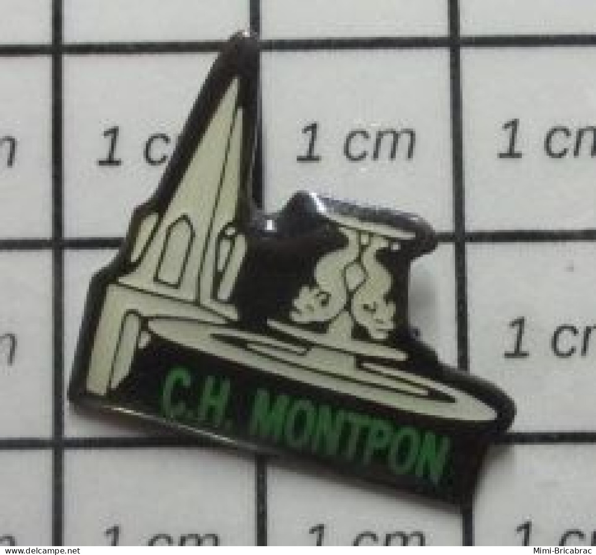 313c Pin's Pins / Beau Et Rare / MEDICAL / HOPITAL CH MONTPON - Medizin