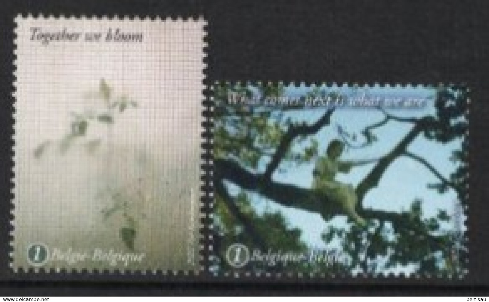 Jongeren Maken De Toekomst 2022 - Unused Stamps