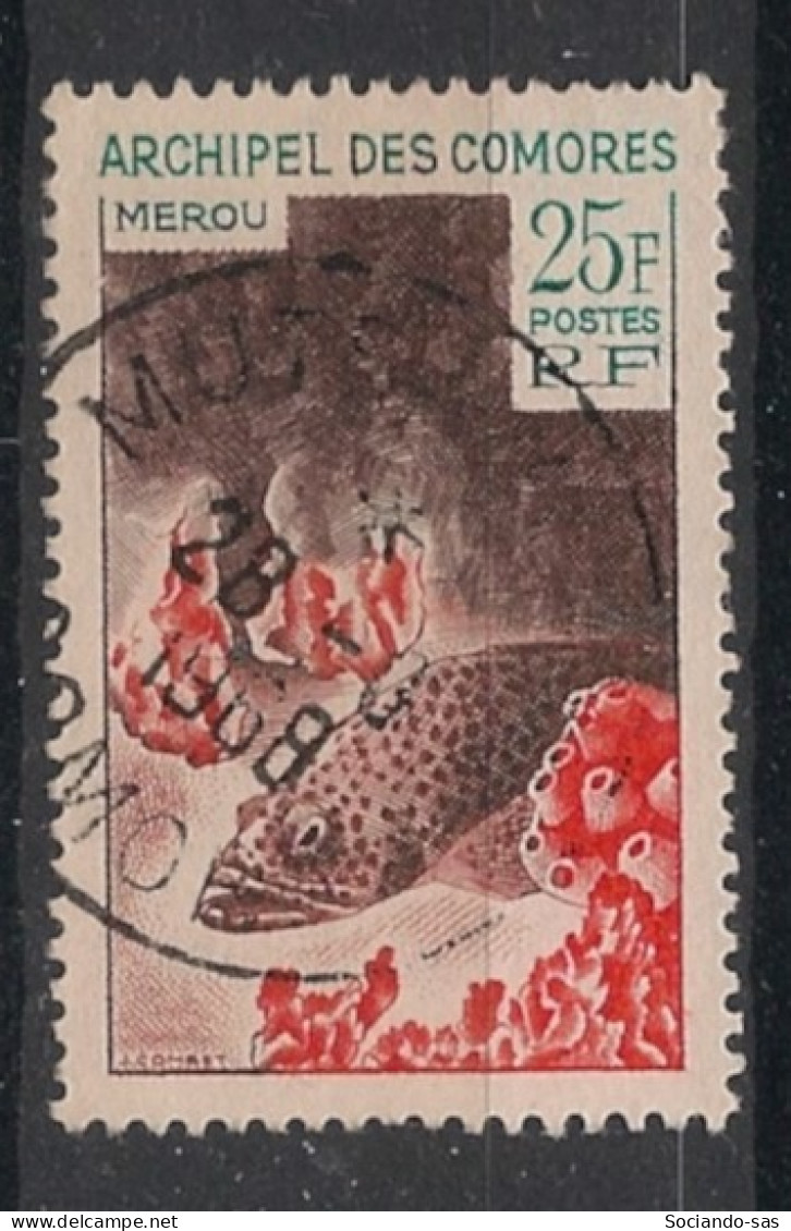 COMORES - 1966 - N°YT. 38 - Murène - Oblitéré / Used - Used Stamps