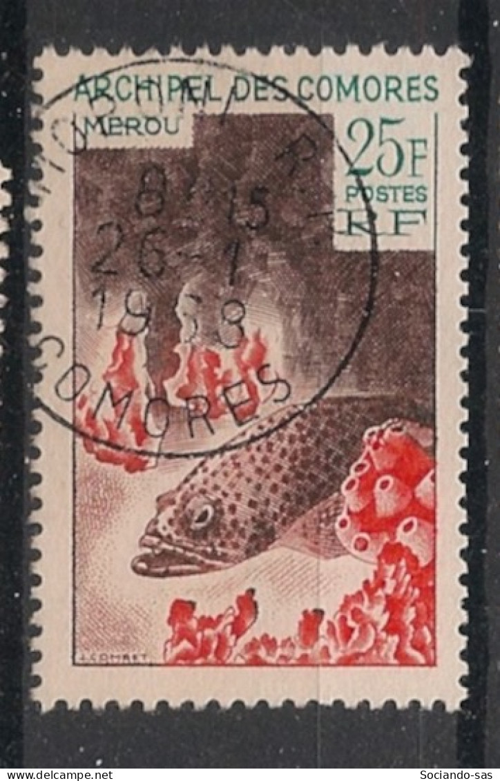 COMORES - 1966 - N°YT. 38 - Murène - Oblitéré / Used - Oblitérés