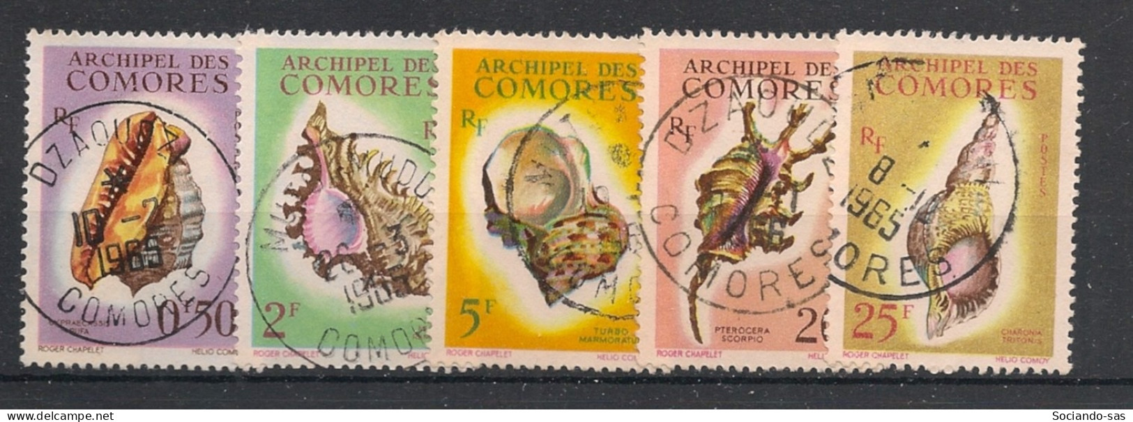 COMORES - 1962 - N°YT. 19 à 24 Sauf 20 - Coquillages - Oblitéré / Used - Used Stamps