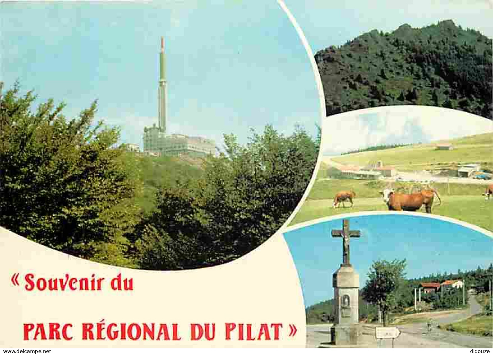 42 - Le Mont Pilat - Parc Naturel Régional Du Pilat - Multivues - Vaches - La Tour De Télévision - CPM - Voir Scans Rect - Mont Pilat
