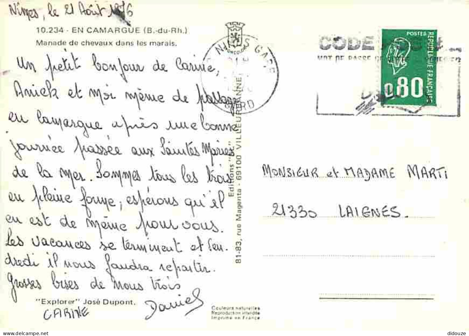 Animaux - Chevaux - Camargue - Manade De Chevaux Dans Les Marais - CPM - Voir Scans Recto-Verso - Pferde