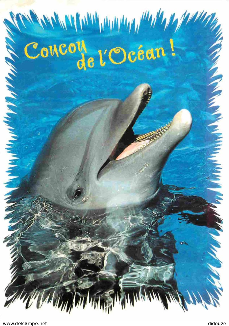 Animaux - Dauphin - Dolphin - Carte à Message - CPM - Carte Neuve - Voir Scans Recto-Verso - Dolphins