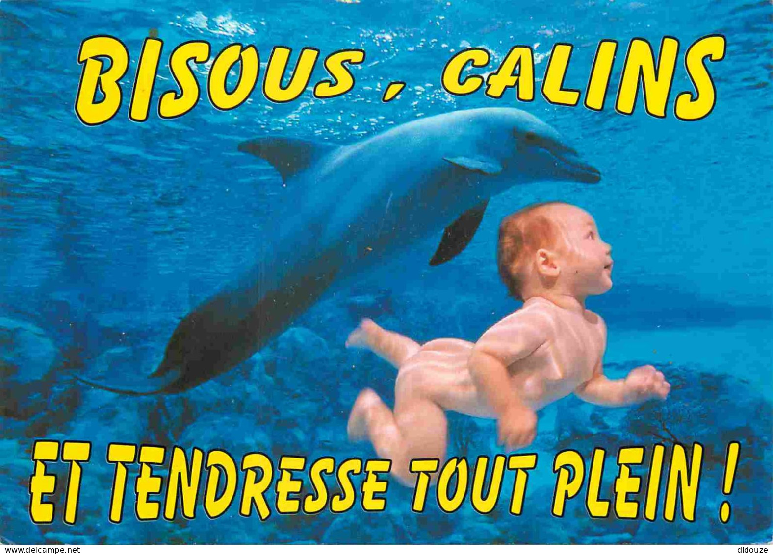 Animaux - Dauphin - Dolphin - Carte à Message - CPM - Voir Scans Recto-Verso - Delfines