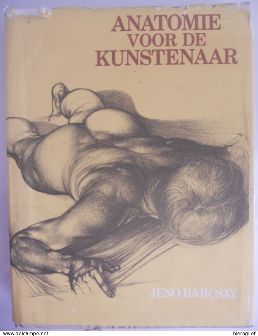 Anatomie Voor De Kunstenaar- Tekst En Tekeningen Door Prof Barcsay Kunst Academie Schetsen Tekenen Proporties Gewrichten - Practical