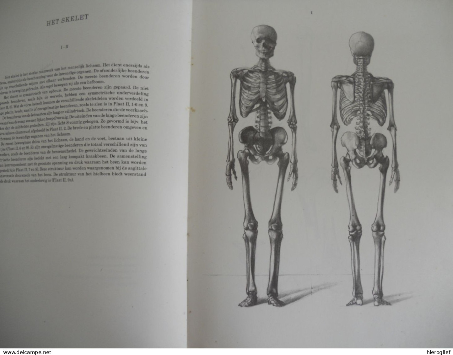 Anatomie voor de kunstenaar- tekst en tekeningen door Prof Barcsay kunst academie schetsen tekenen proporties gewrichten