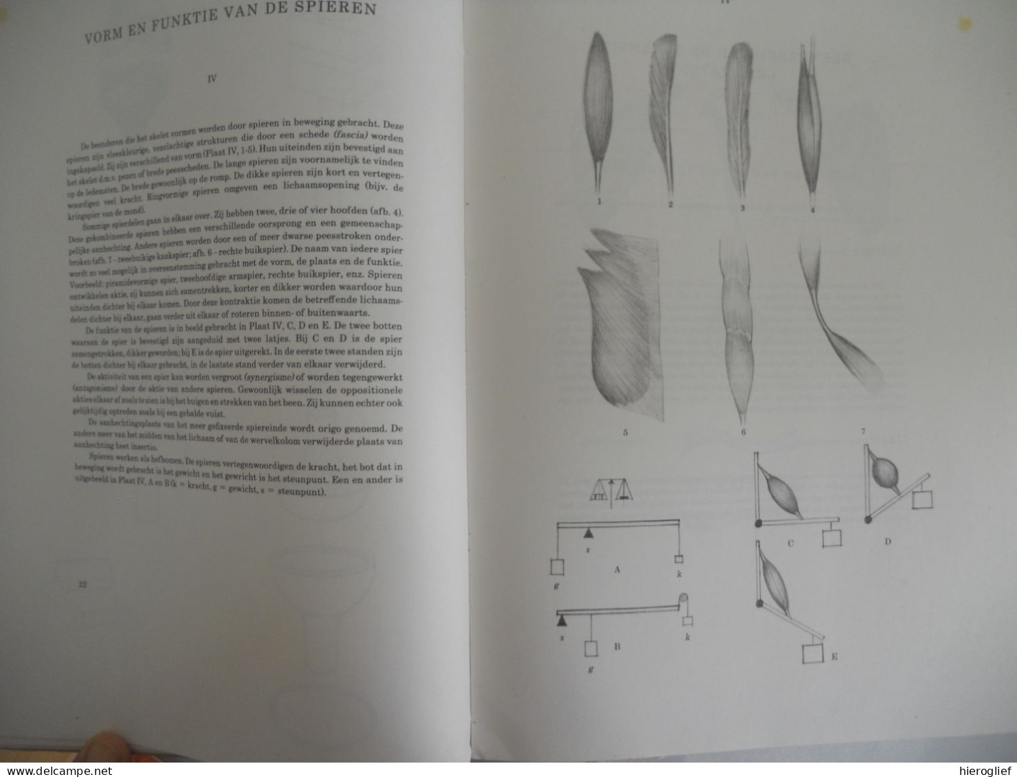 Anatomie voor de kunstenaar- tekst en tekeningen door Prof Barcsay kunst academie schetsen tekenen proporties gewrichten