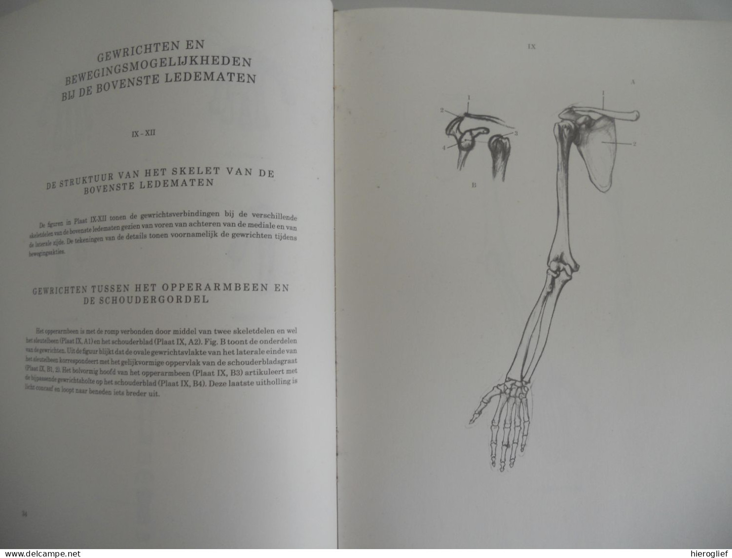 Anatomie voor de kunstenaar- tekst en tekeningen door Prof Barcsay kunst academie schetsen tekenen proporties gewrichten