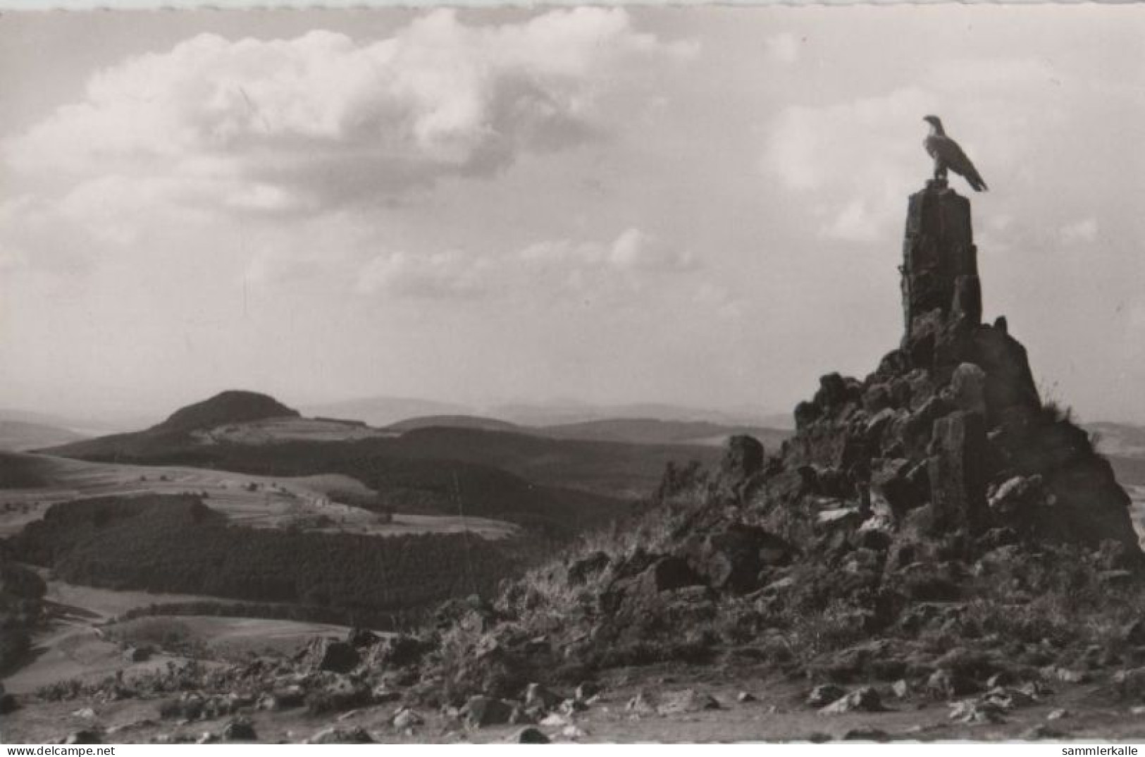 46193 - Wasserkuppe - Fliegerdenkmal - Ca. 1955 - Rhön