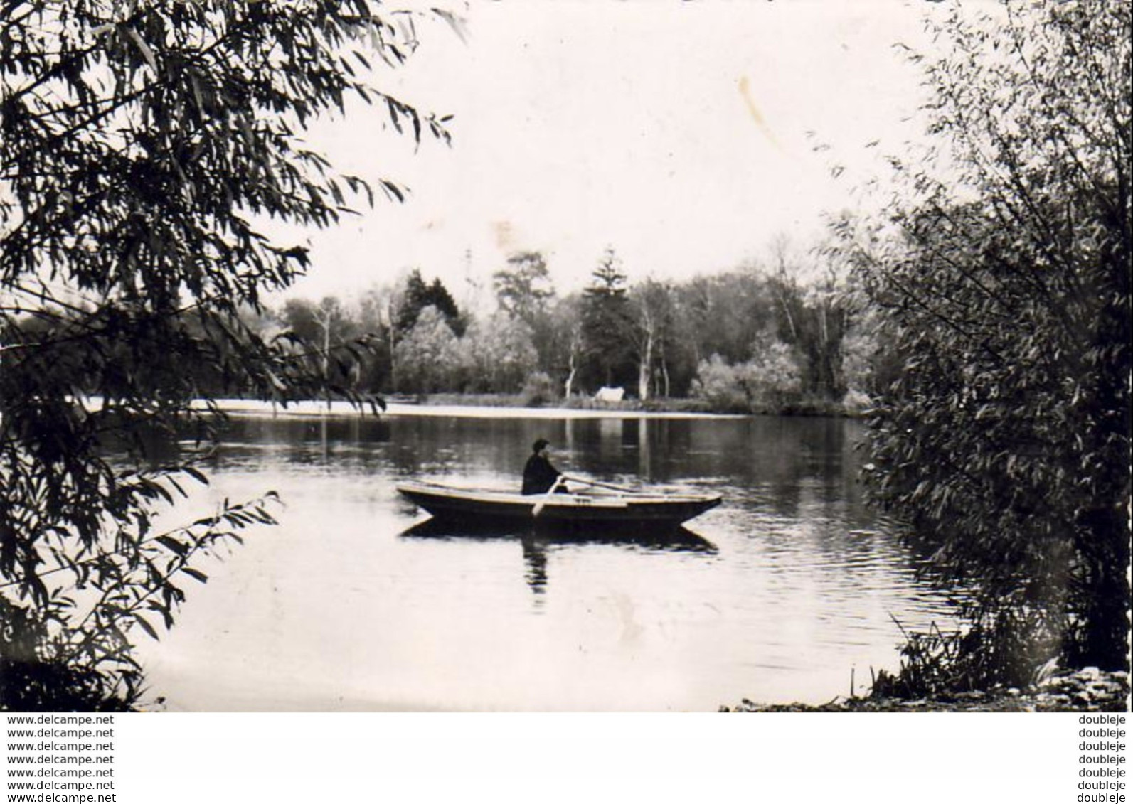 D91  VERT LE PETIT  L'ÉTANG FLEURI - Vert-le-Petit