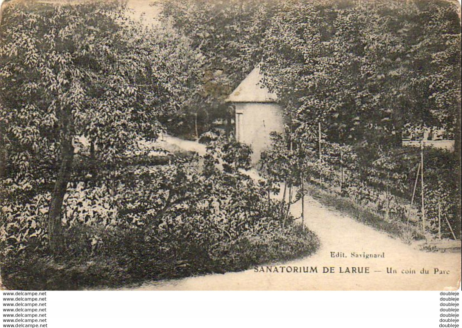 D94  SANATORIUM DE LARUE (Chevilly Larue ) Un Coin Du Parc - Chevilly Larue