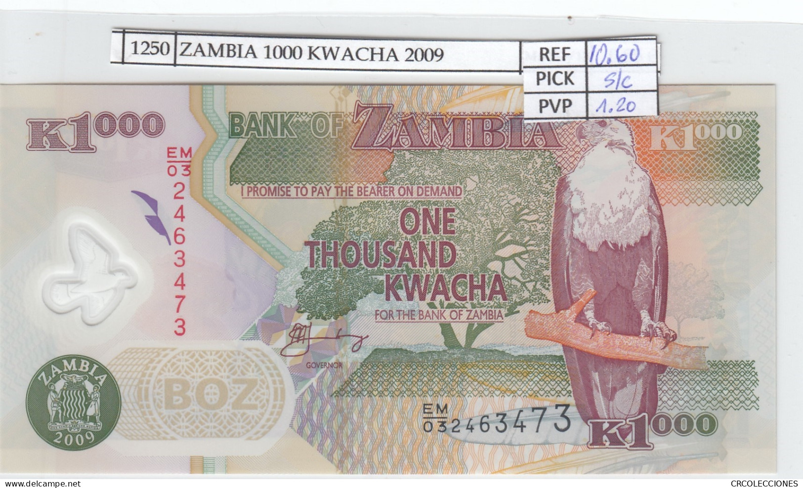 BILLETE ZAMBIA 1.000 KWACHA 2009 POLIMERO P-44g SIN CIRCULAR - Otros – Africa