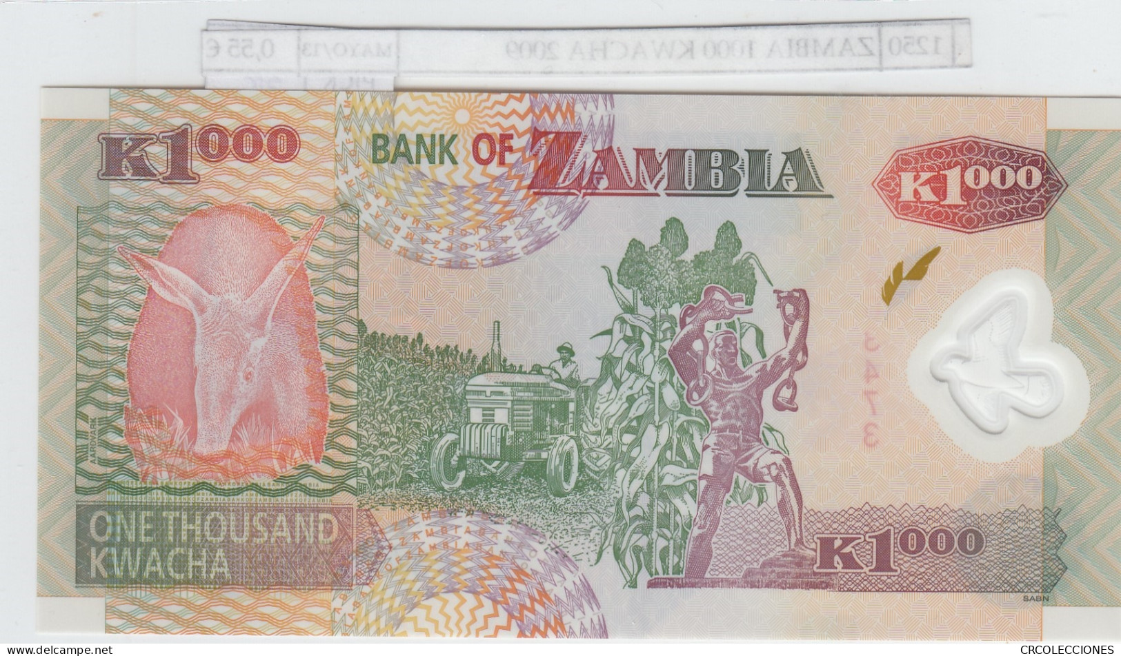 BILLETE ZAMBIA 1.000 KWACHA 2009 POLIMERO P-44g SIN CIRCULAR - Otros – Africa