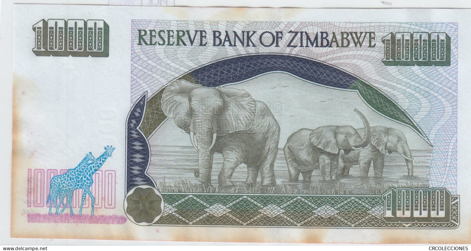 BILLETE ZIMBABWE 1.000 DOLARES 2003 P-12a SIN CIRCULAR - Otros – Africa