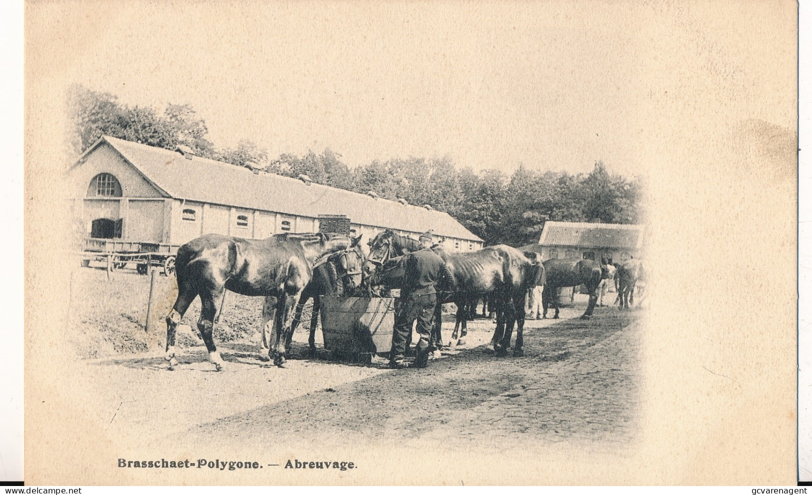 BRASSCHAET POLYGONE       ABREUVAGE - Brasschaat