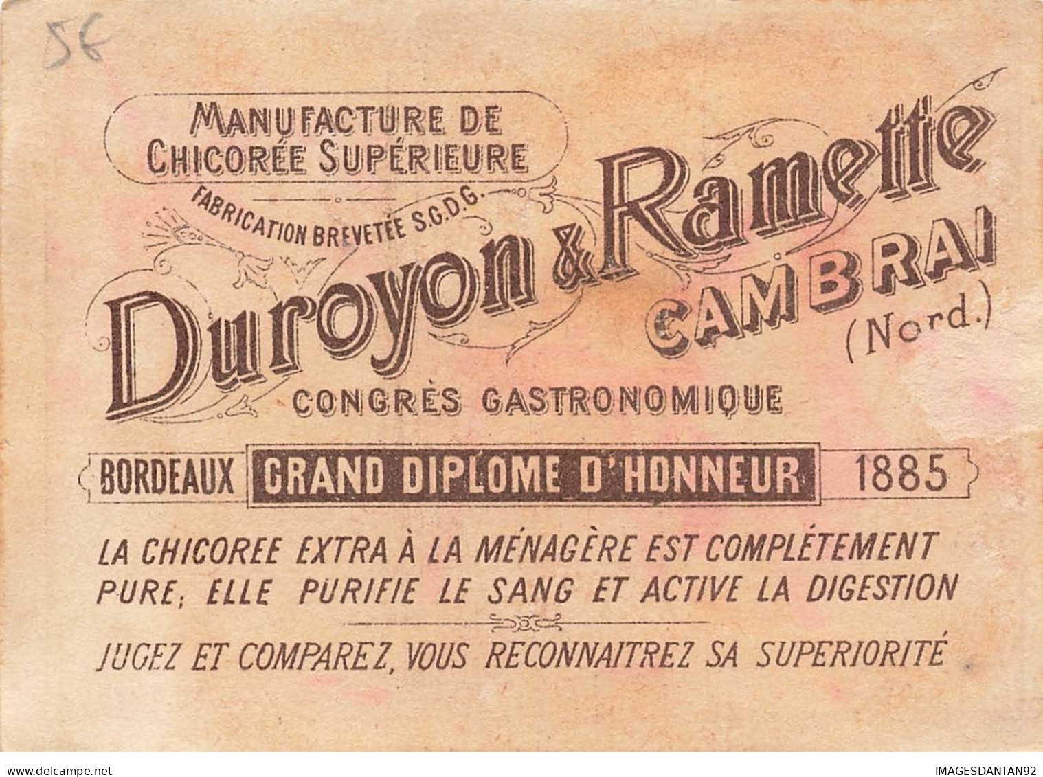 CAMBRAI DUROYON RAMETTE CHOCOLAT CHICOREE MENAGERE BORDEAUX 1885 PEINTRE ARTISTE BINOCLE - Duroyon & Ramette