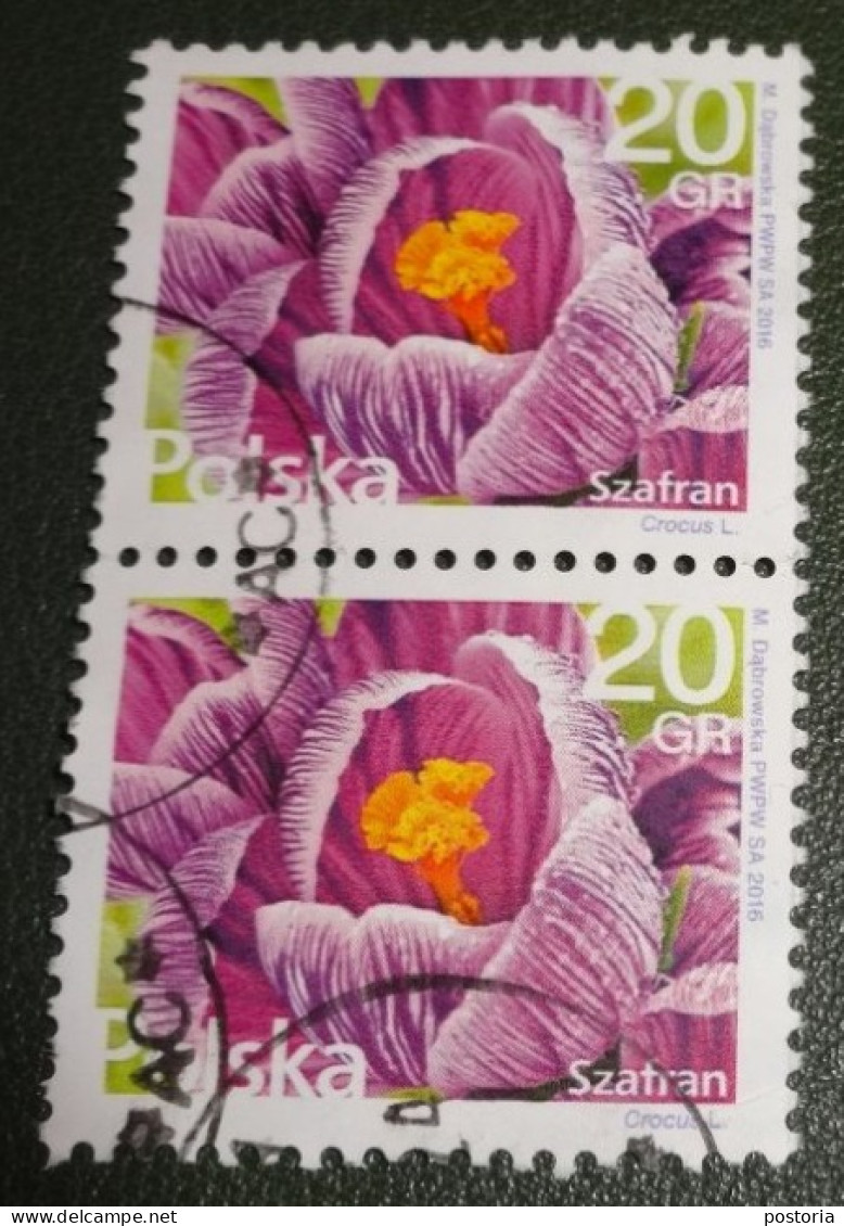 Polen - Michel 4847 - 2016 - Gebruikt - Used - Paar - Flowers - Crocus L - Krokus - Szafran - Used Stamps