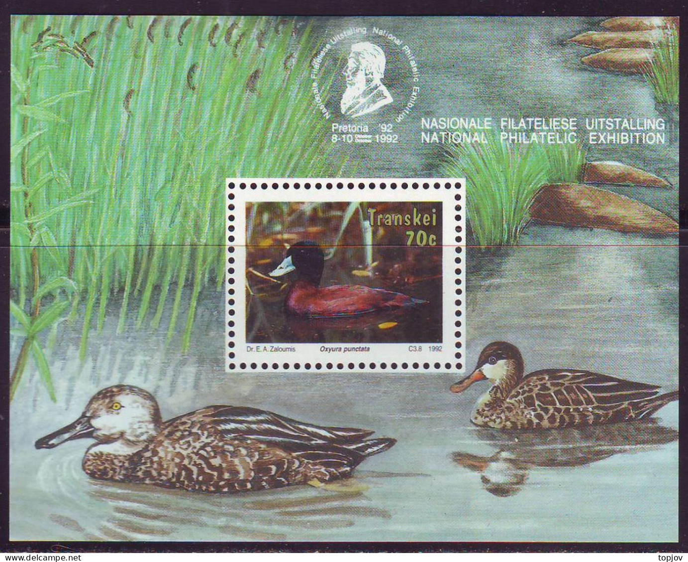 TRANSKEY - DUCK - PHILAT. EXHIBITION PRETORIA  - **MNH - 1992 - Eenden