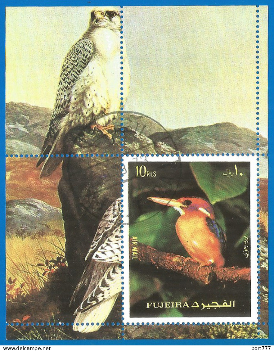Fujeira 1973 Year, Used Block Birds - Fujeira