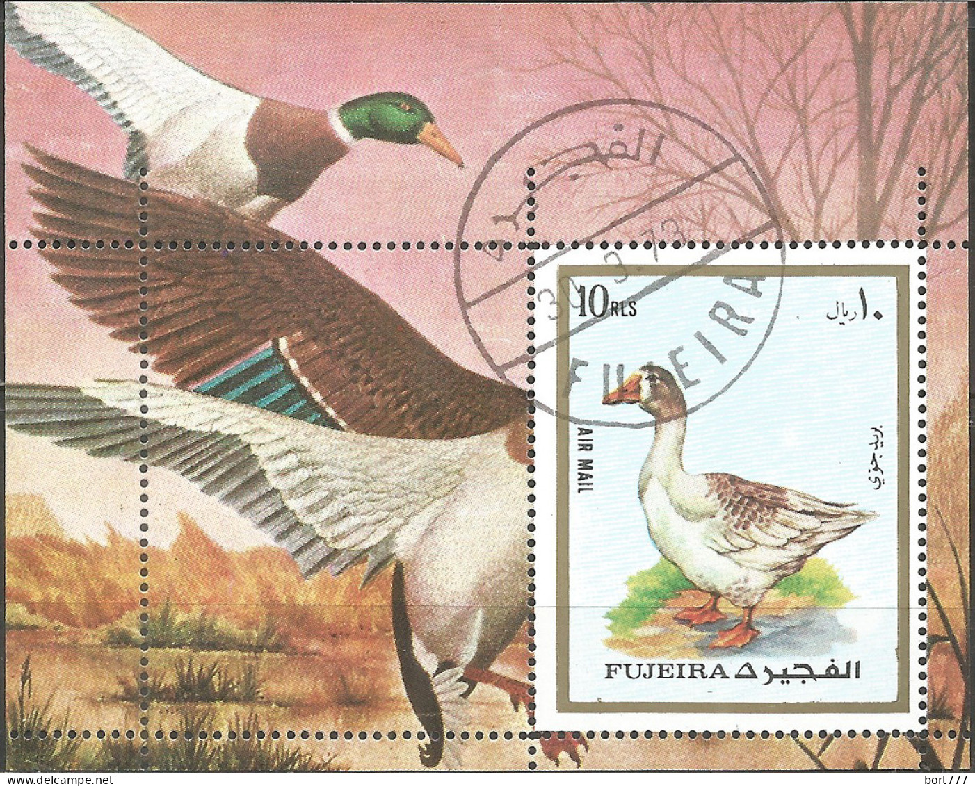 Fujeira 1973 Year, Used Block Birds - Fujeira