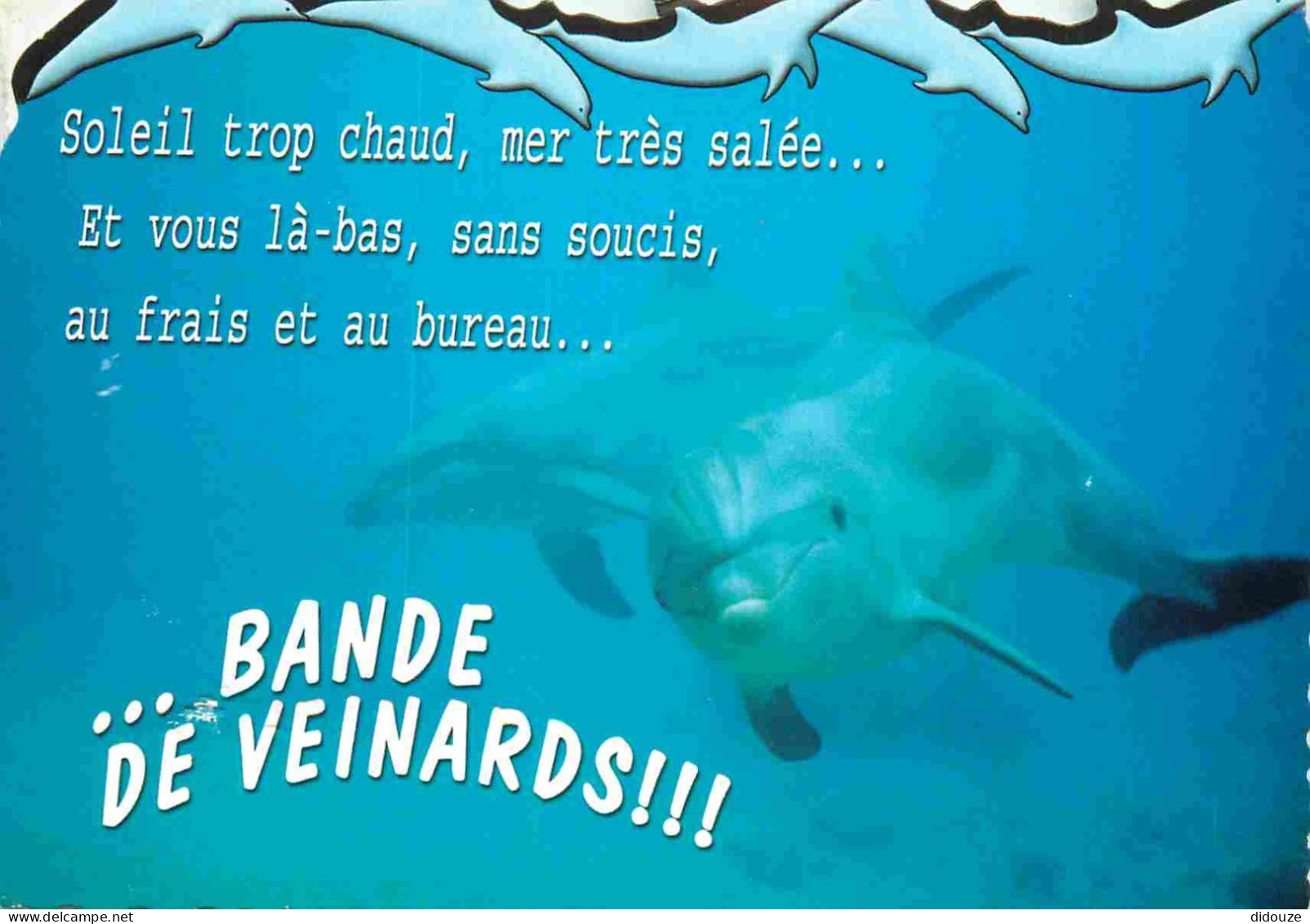 Animaux - Dauphin - Dolphin - Carte à Message - CPM - Voir Scans Recto-Verso - Dolfijnen