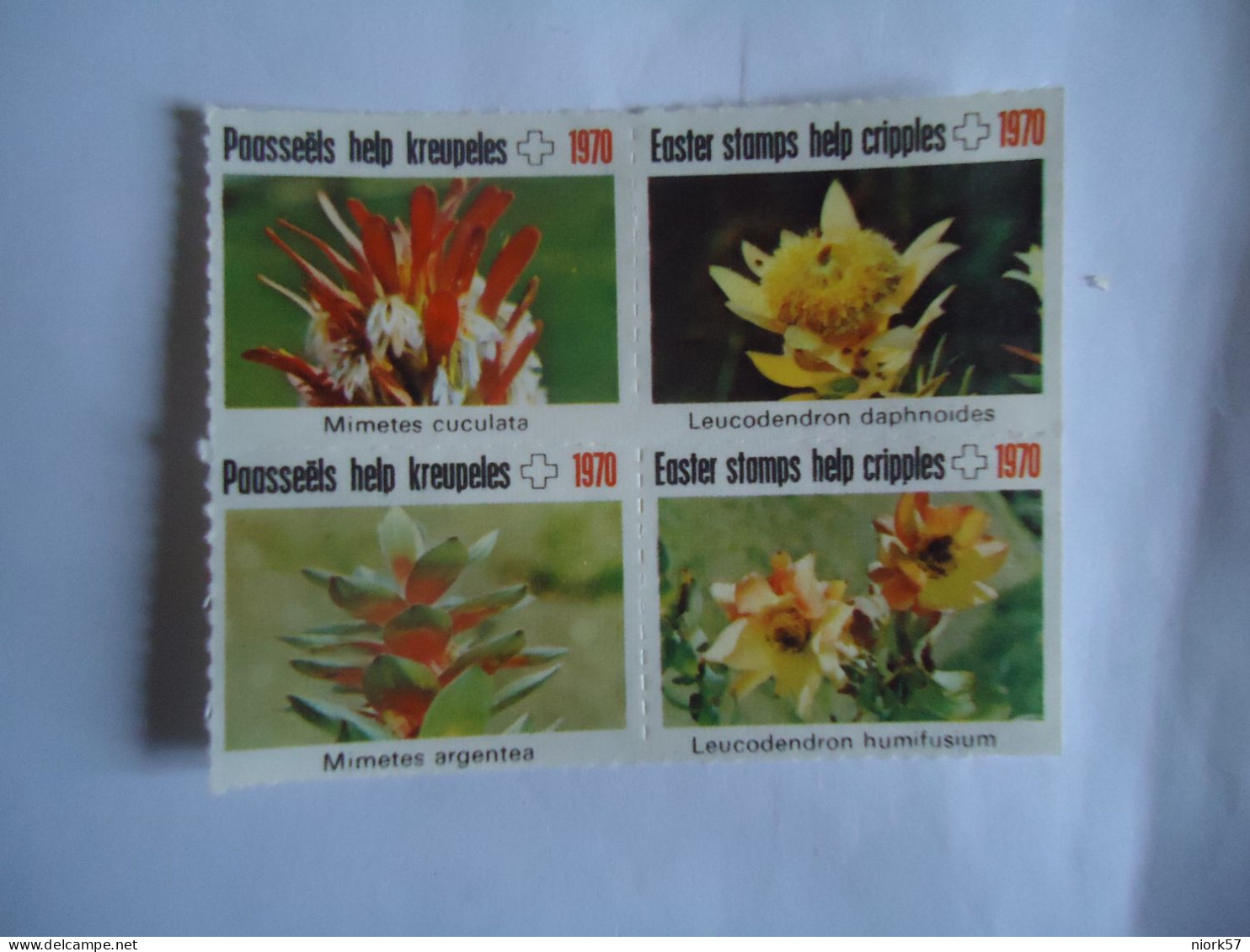 VIGNETTES   VIGNETTE BLOCK OF 4  FLOWERS  1970  CACTUS    HEALTH 1970 - Sukkulenten