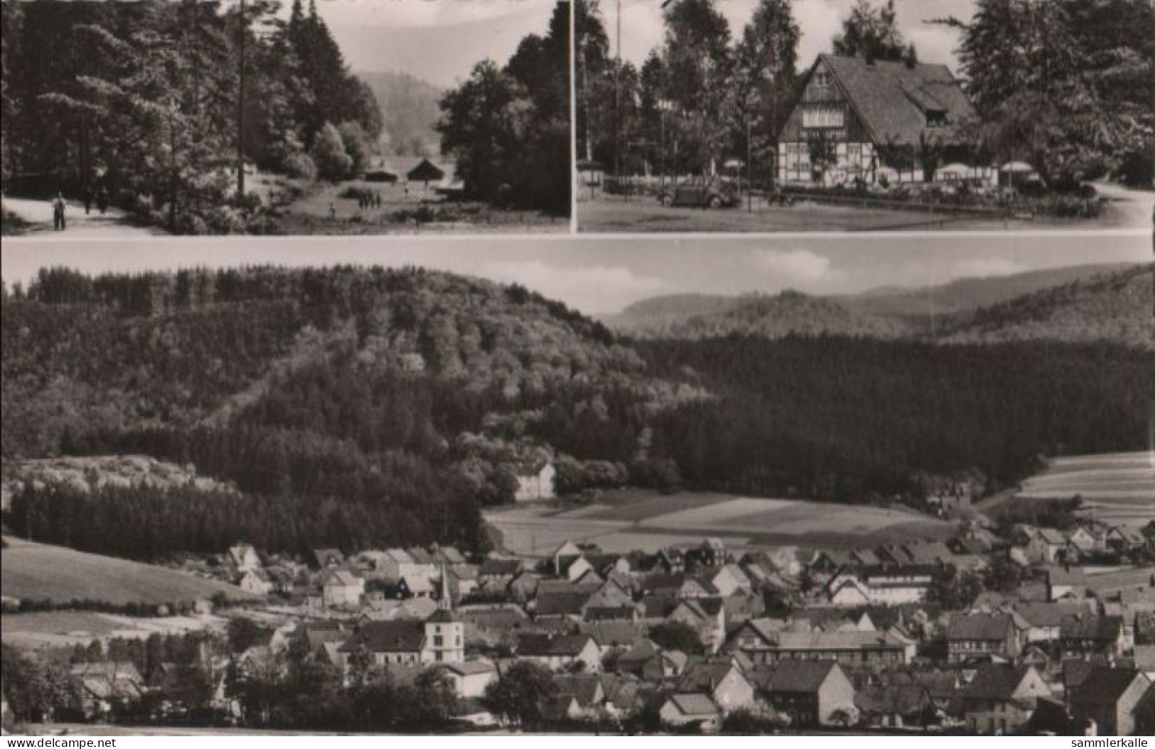 62223 - Langelsheim-Wolfshagen - U.a. Mit Campingplatz - Ca. 1960 - Langelsheim