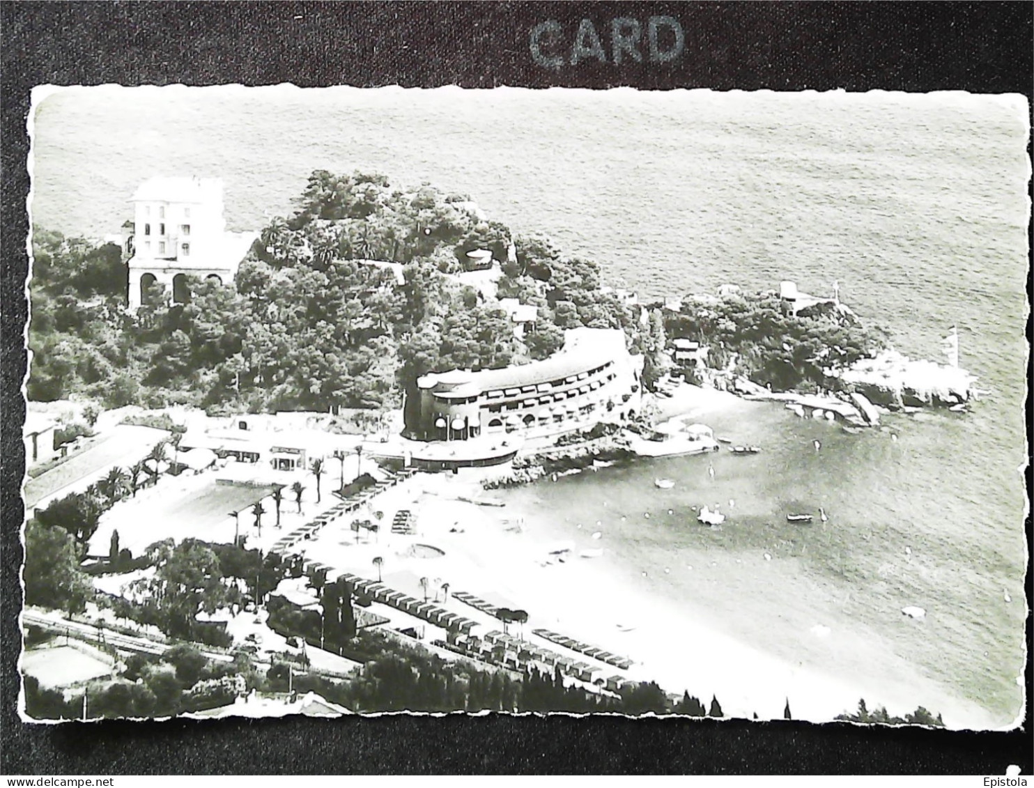 ►MONACO TIMBRE Poisson Pterois Volitans  Sur CP  1962  (Rascasse) - Storia Postale